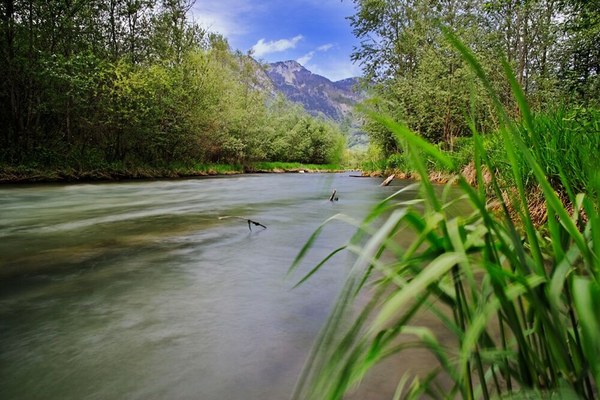 Uredba EU o obnovi narave dobila zeleno luč