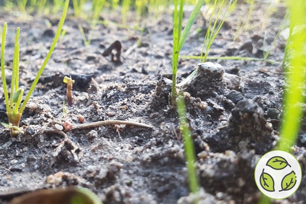 Varčujemo z zemljišči, rešujemo tla!