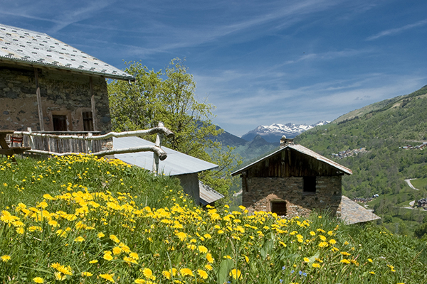 Varstvo narave v službi človeka