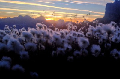Vodenje obiskovalk in obiskovalcev v alpskem prostoru