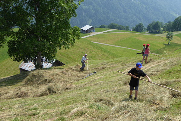 Zmaga in poraz za nova zavarovana območja