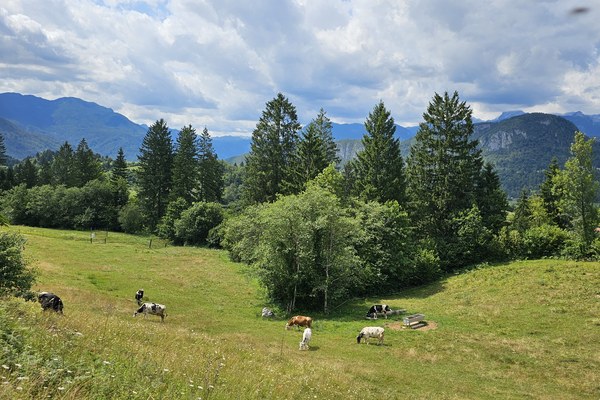 Na deželo po delo - revitalizacija poklicev evropskega podeželja