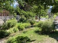 Na naravi temelječe rešitve in strukture njihovega upravljanja v alpskem prostoru