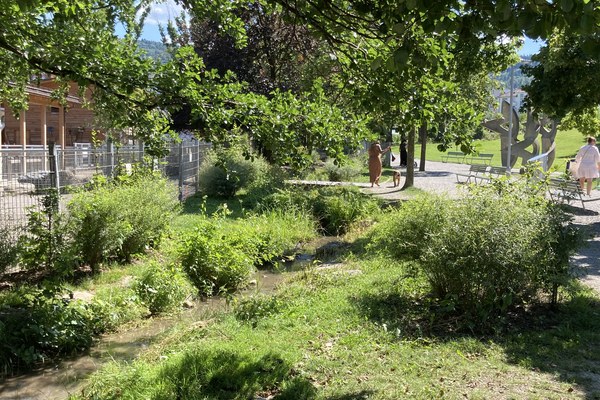 Na naravi temelječe rešitve in strukture njihovega upravljanja v alpskem prostoru