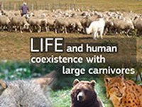 LIFE and human coexistence with large carnivores