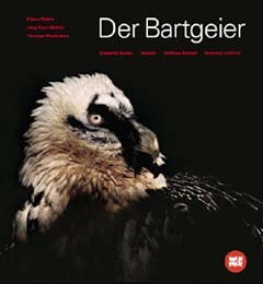 Der Bartgeier