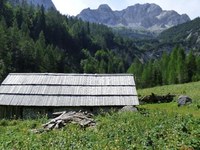 Etnologija planinskega pašništva - brezplačno vodenje na planino Zapotok