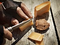 V iskanju odgovorov na omejenost naravnih virov