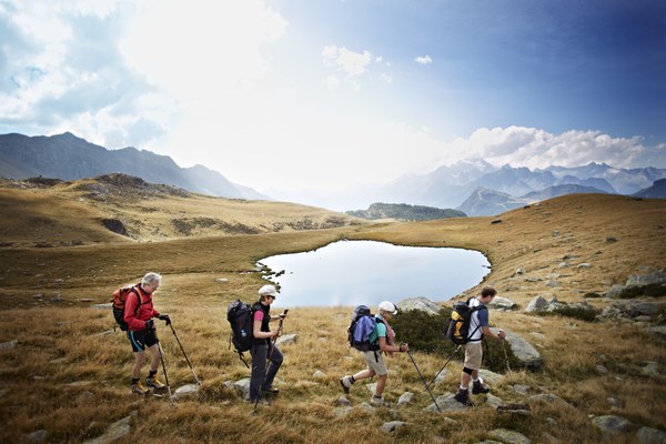 Whatsalp začenja svoj pohod na Dunaju